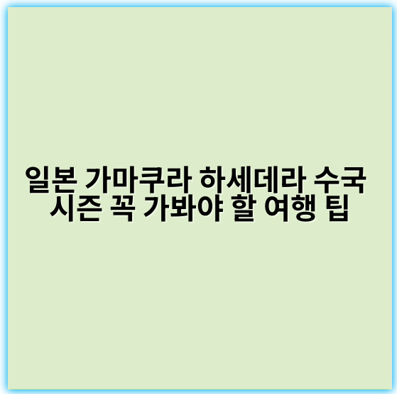 일본 가마쿠라 하세데라 수국 시즌 꼭 가봐야 할 여행 팁 - 가마쿠라 하세데라 수국