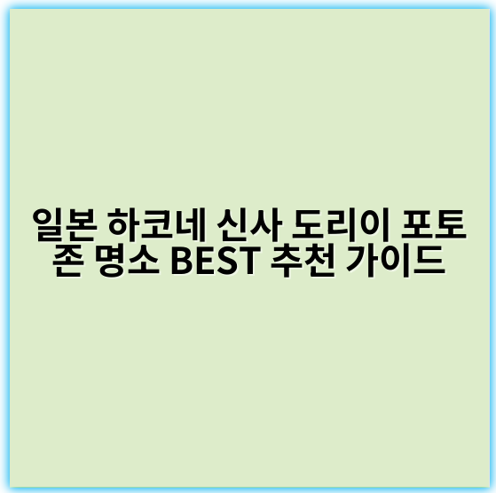 일본 하코네 신사 도리이 포토존 명소 BEST 추천 가이드 - 하코네 신사 도리이 포토존 핵심 키워드:
"하코네 도리이"